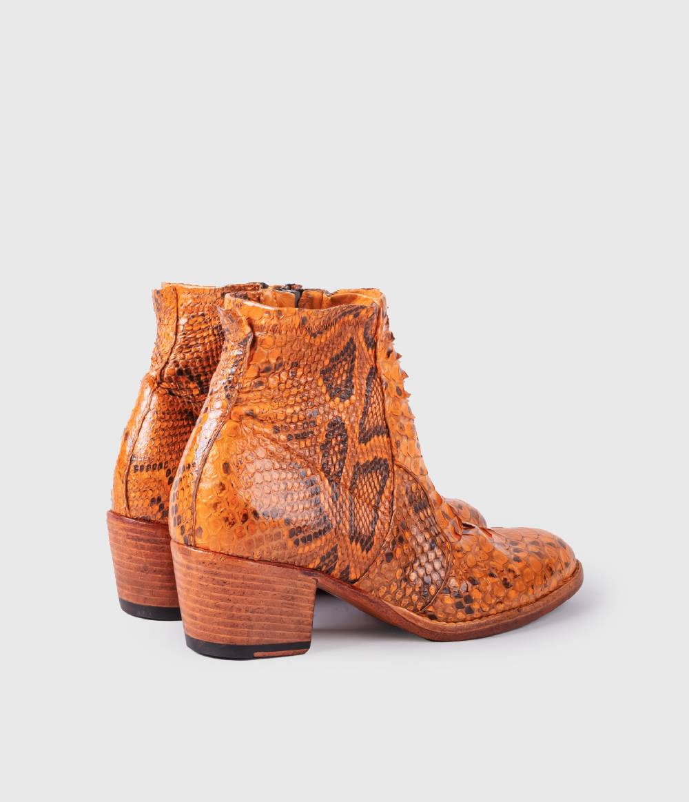 King Tartufoli ORANGE 2025