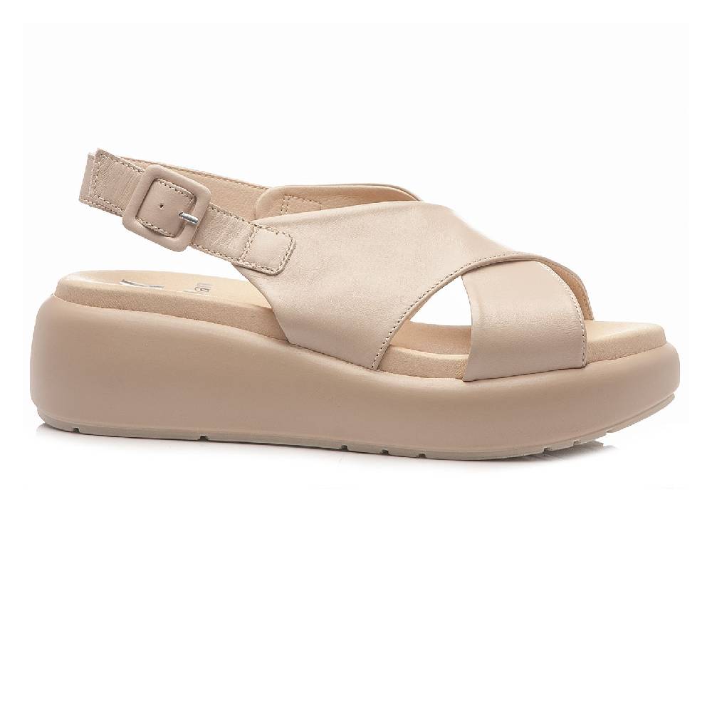 Callaghan 33601 Negozio