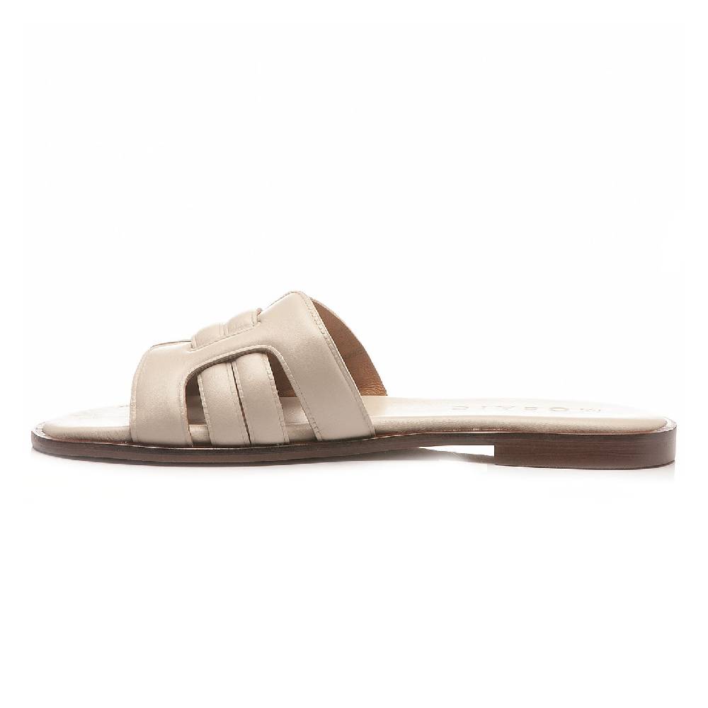 Mosaic CITY CHIC Shopping Online