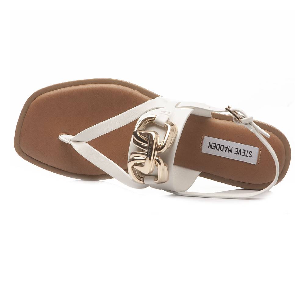Steve Madden Geni06S1 Limitato a 3 giorni