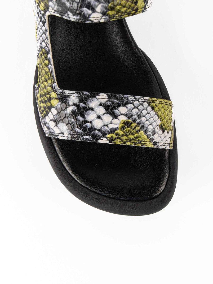 Poesie Veneziane ASH Moda