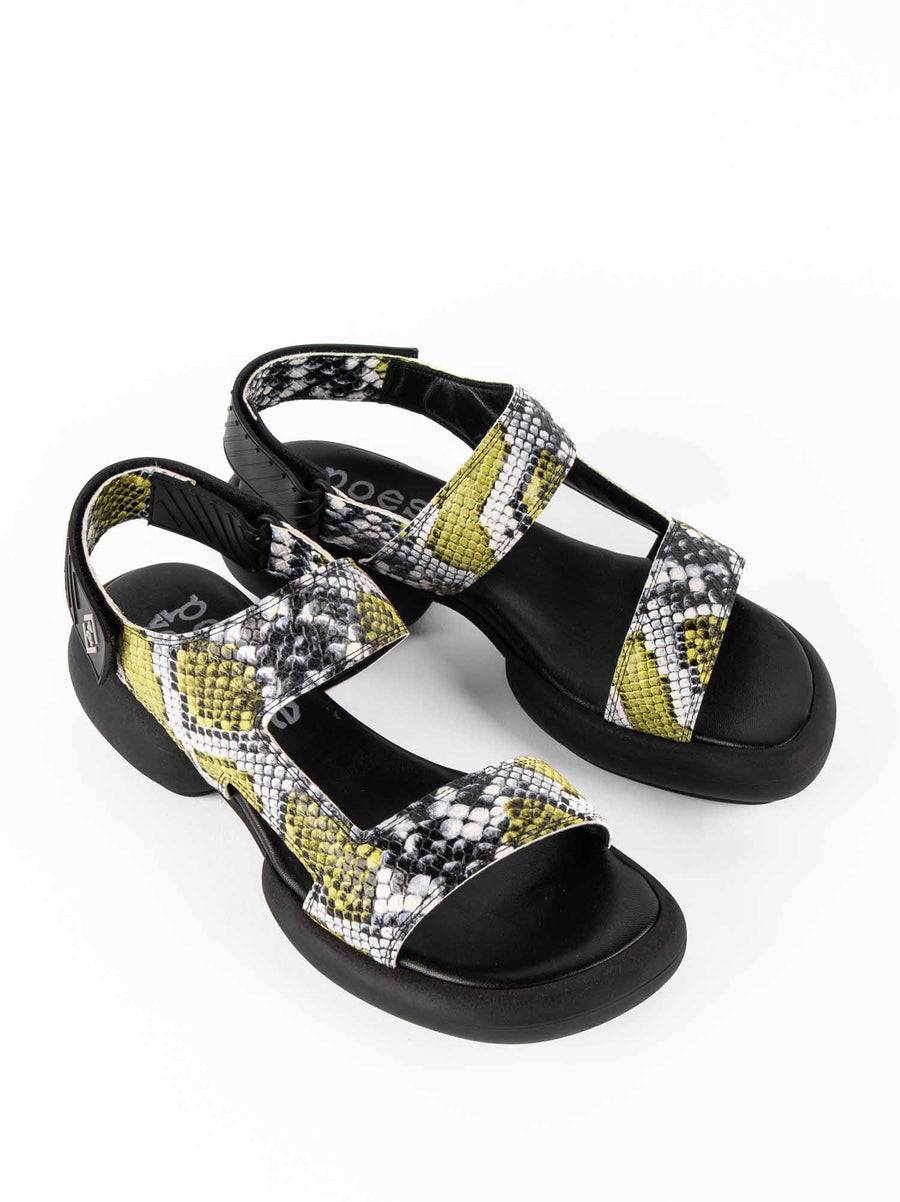 Poesie Veneziane ASH Moda