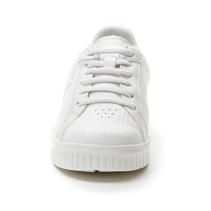 Lotto VENUS AMF II ZEBRA CL Promozione
