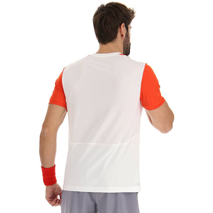 Lotto TOP IV TEE Convenienza