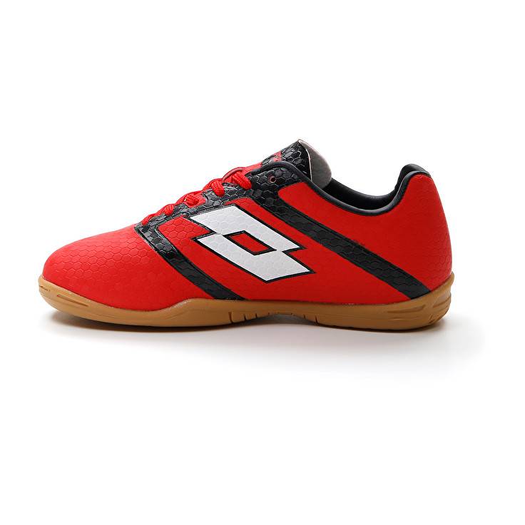 Lotto MAESTRO 700 IV ID JR Offerte