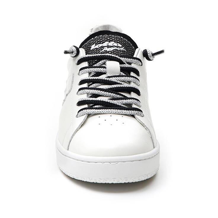 Lotto AUTOGRAPH ZEBRA W Pezzi Unici