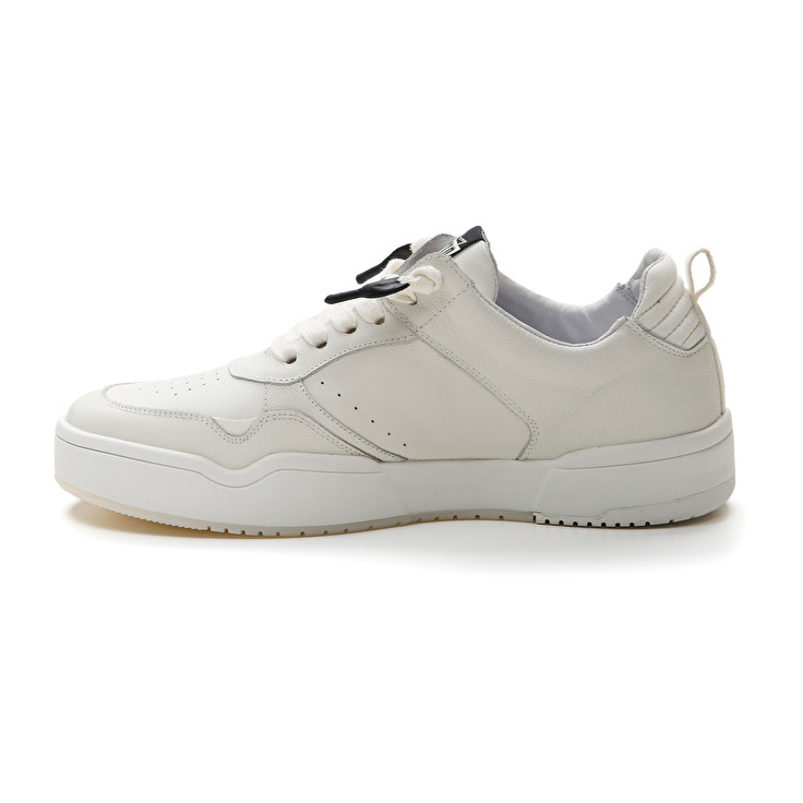 Lotto HOOP STARS Saldi