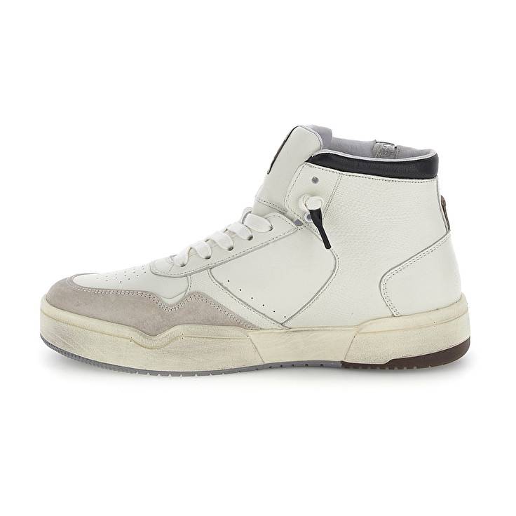 Lotto HOOP STARS HIGH SUEDE Italia