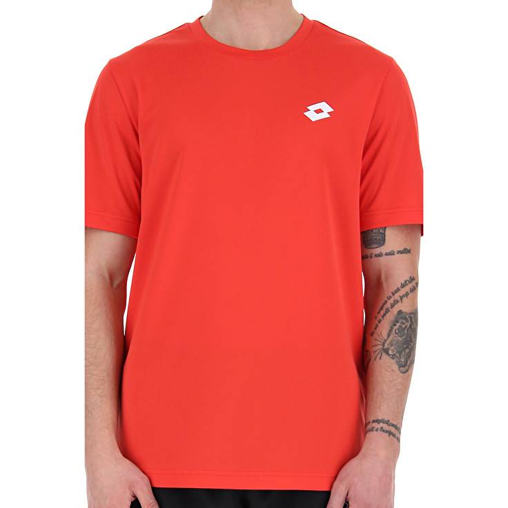 Lotto MSP TEE Negozio