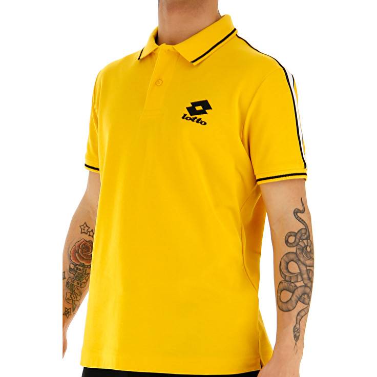 Lotto POLO LIPARI PQ 2025